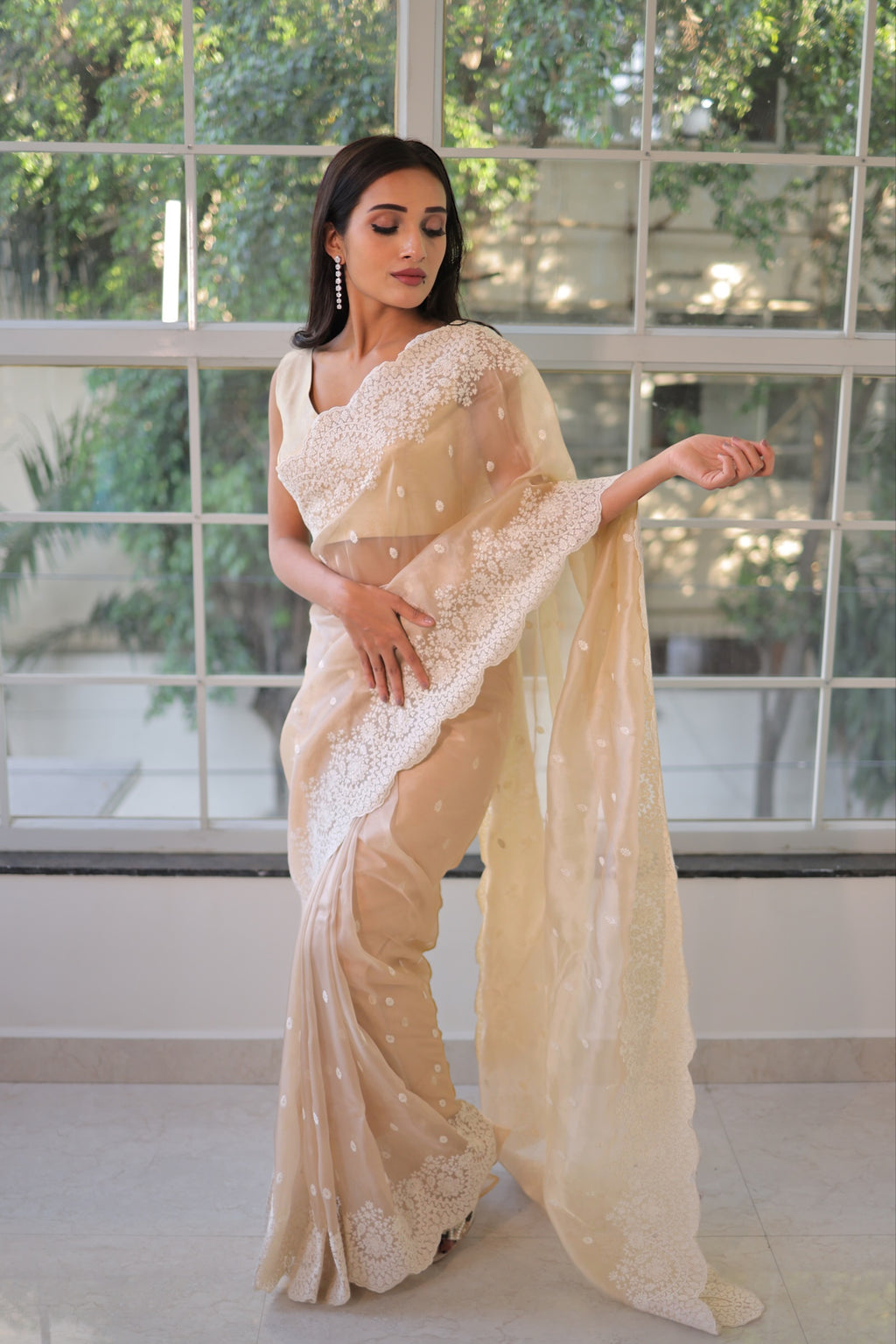 Lucknowi work saree - Nude