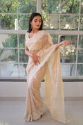 Lucknowi work saree - Nude