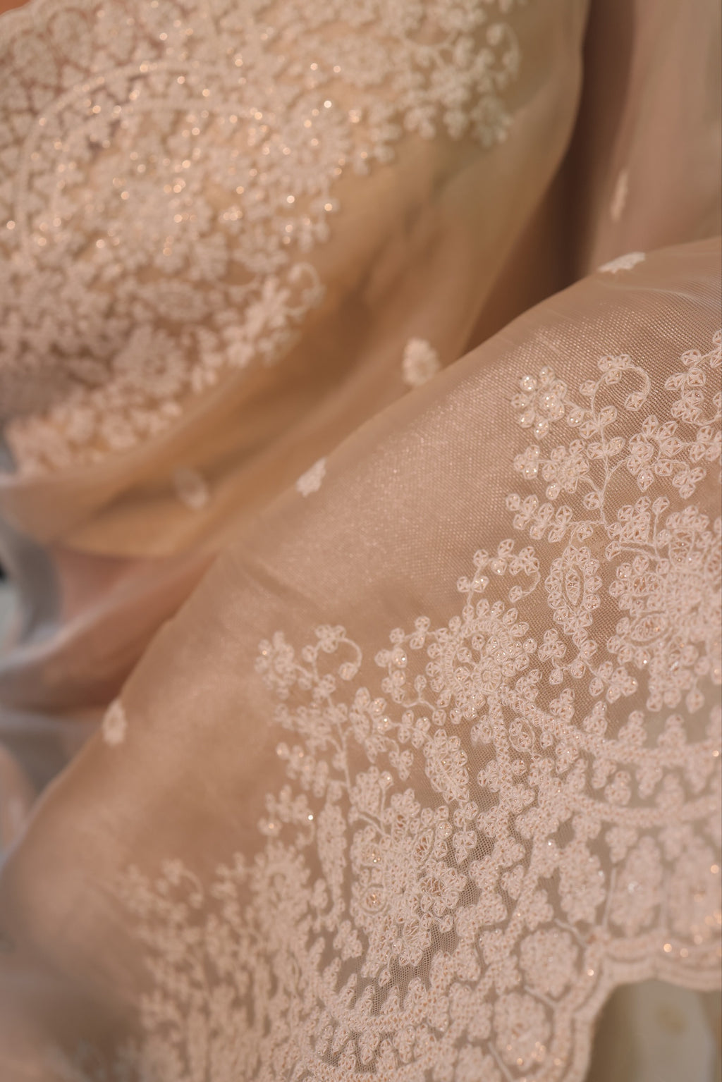 Lucknowi work saree - Nude