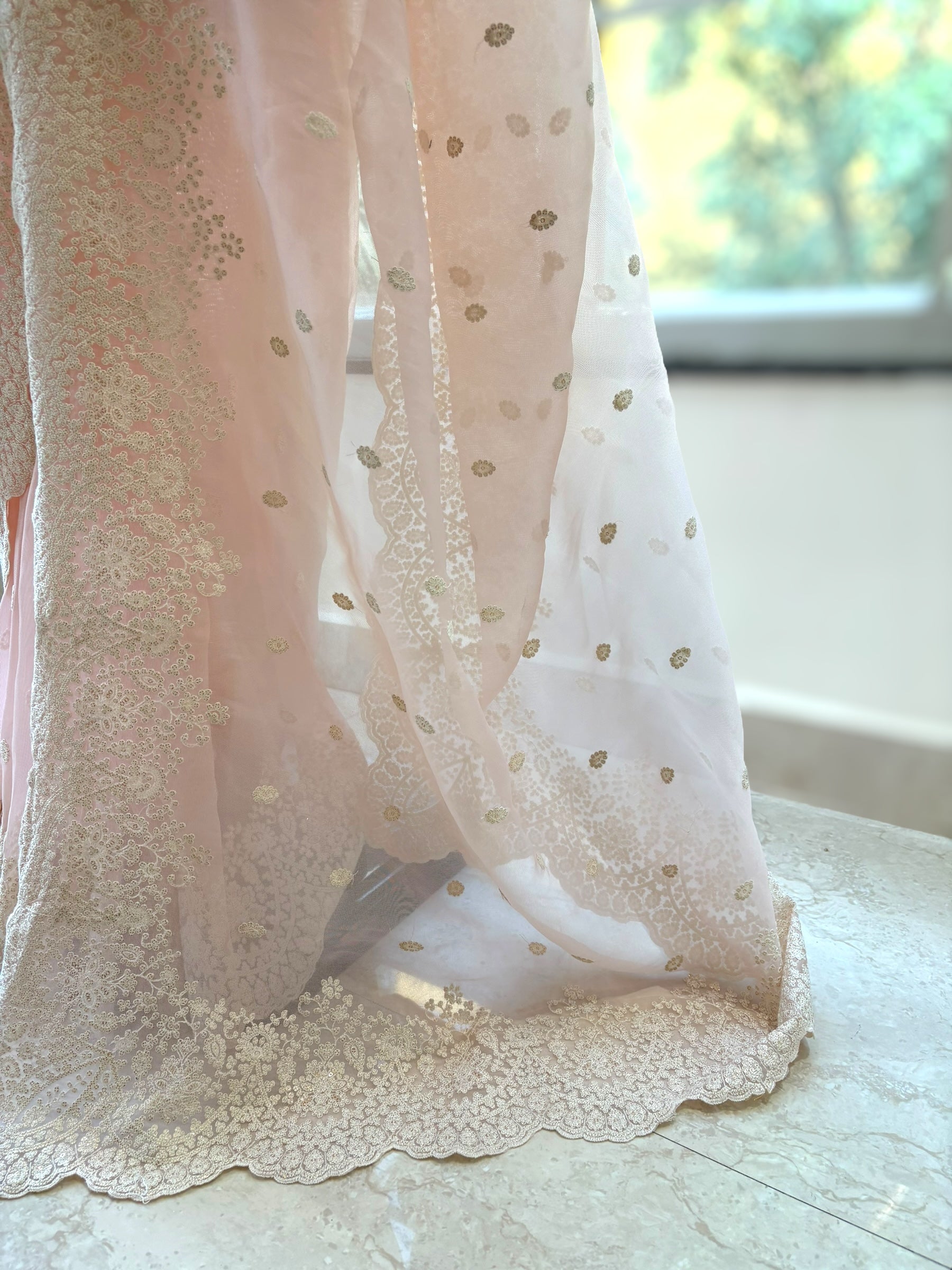 Lucknowi work saree - Baby pink