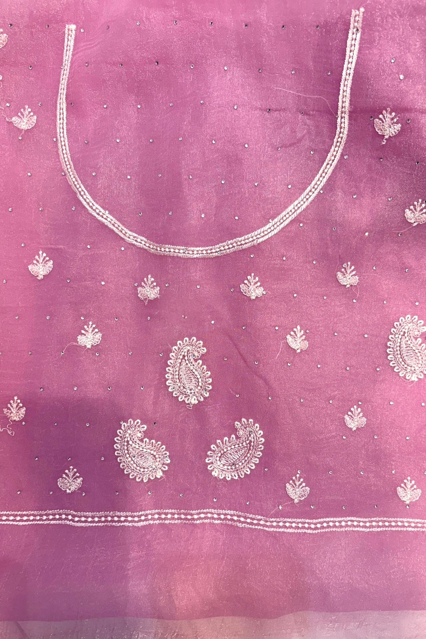 Kashmiri work soft organza saree
