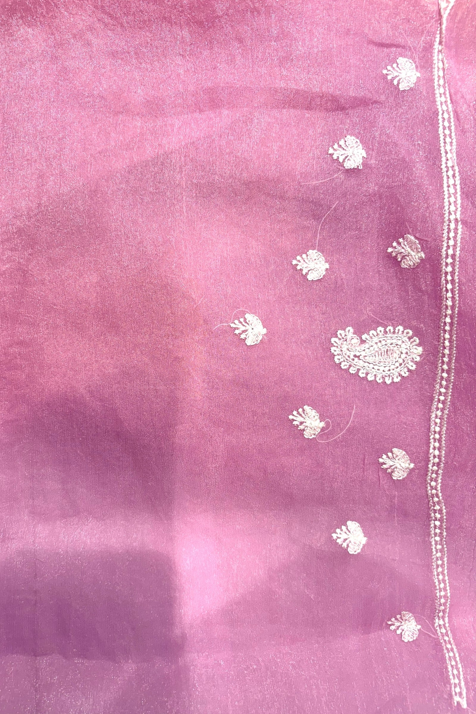 Kashmiri work soft organza saree